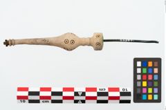 Foto von Beinnadelspitzenschoner (NHMW-PRAE-025364)